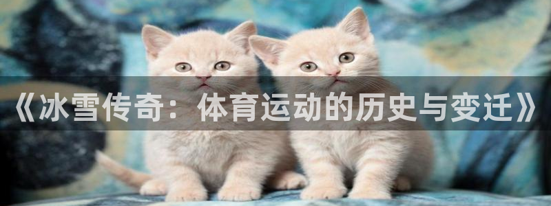 oety欧亿
