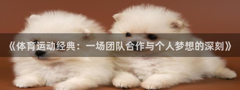 oety欧亿：《体育运动经典：一场团队合作与个人梦想的深刻》