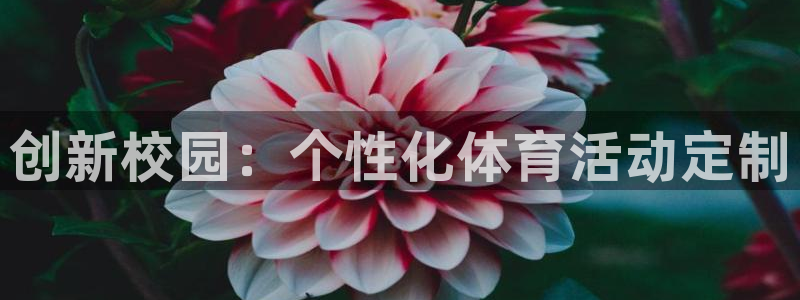 oety欧亿