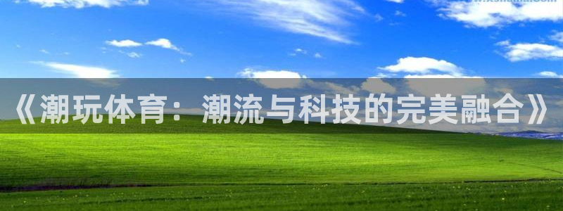 oety欧亿：《潮玩体育：潮流与科技的完美融合》