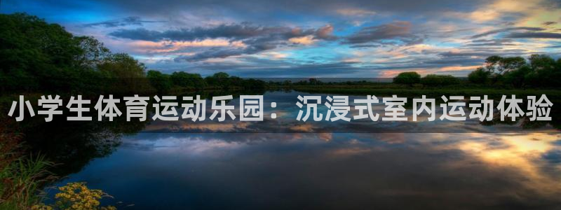 oety欧亿：小学生体育运动乐园：沉浸式室内运动体验