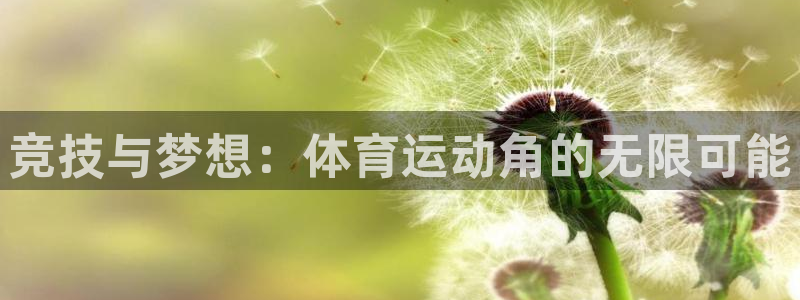 oety欧亿：竞技与梦想：体育运动角的无限可能
