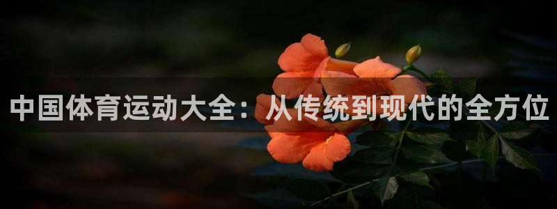 oety欧亿：中国体育运动大全：从传统到现代的全方位
