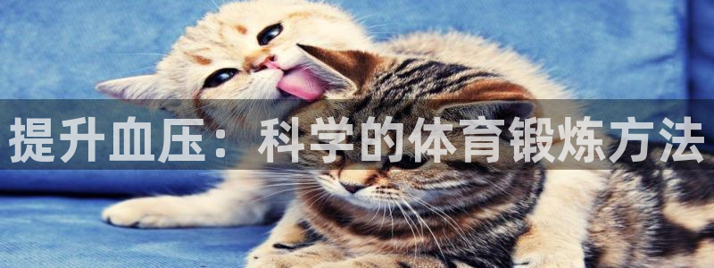 oety欧亿：提升血压：科学的体育锻炼方法