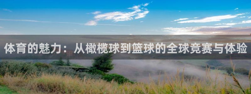 oety欧亿：体育的魅力：从橄榄球到篮球的全球竞赛与体验