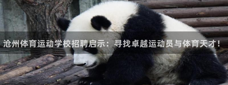 oety欧亿：沧州体育运动学校招聘启示：寻找卓越运动员与体育天才！