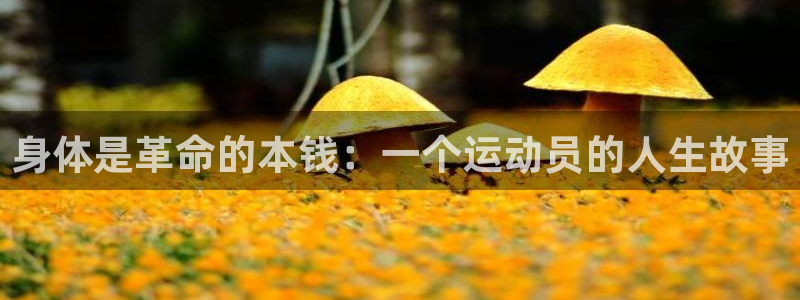 oety欧亿：身体是革命的本钱：一个运动员的人生故事
