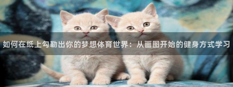 oety欧亿：如何在纸上勾勒出你的梦想体育世界：从画图开始的健身方式学习